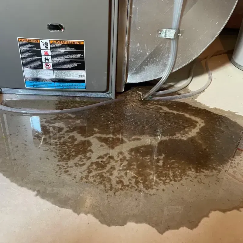 Appliance Leak Cleanup in Lucas Valley-Marinwood, CA